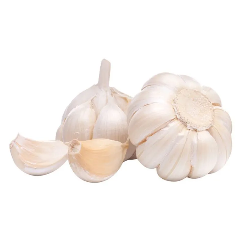 Garlic, Package