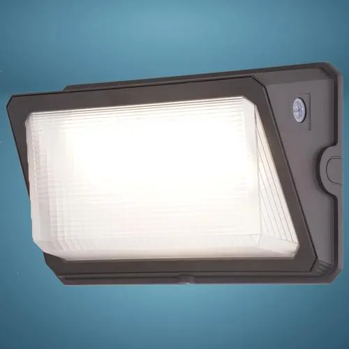 Patriot Lighting® Bronze LED Dusk to Dawn Outdoor Security Wall Pack