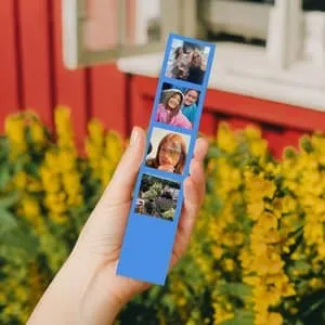 Bilderemse | Enkel fire blå