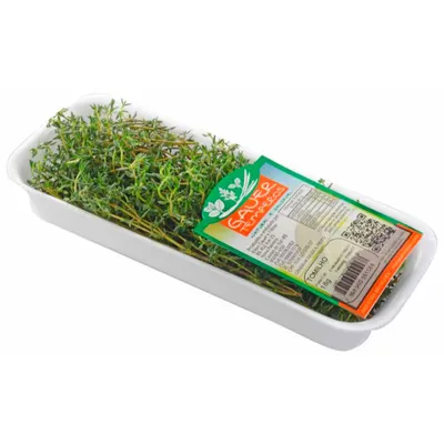 especiarias gauer temperos tomilho 16g