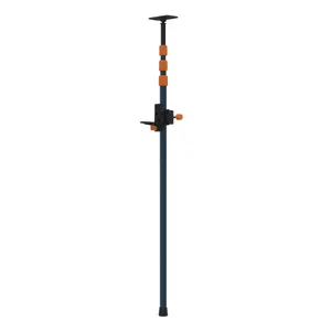 Asta telescopica DEXTER