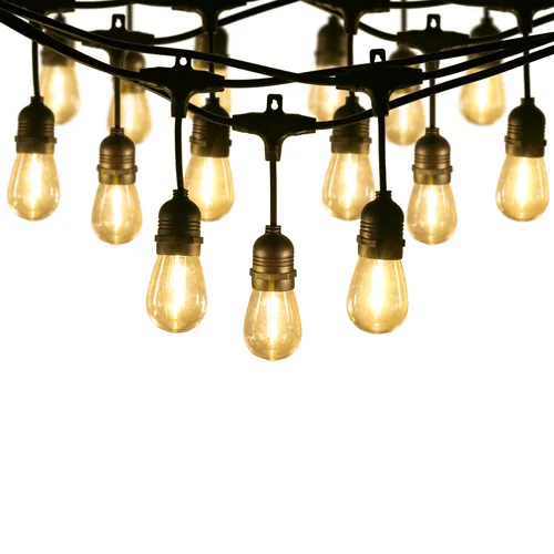 Patriot Lighting® 48' 24-Light Indoor/Outdoor Warm White Plug-In LED String Light