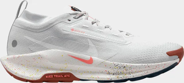 Pegasus Trail 5 Gore-Tex, terrengløpesko, herre - Grå