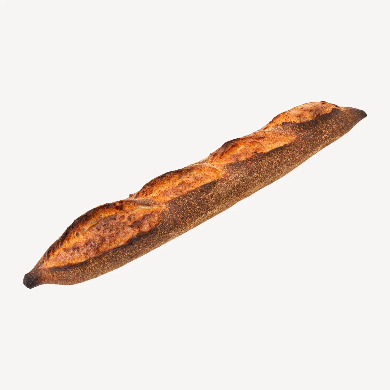 daily bread demi baguette