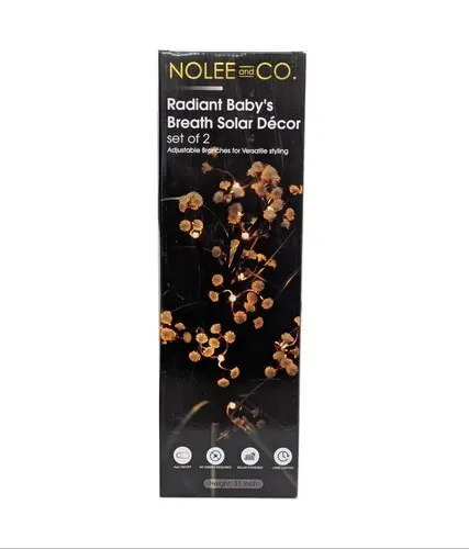Nolee and Co. Radiant Baby's Breath Solar Décor - Set of 2