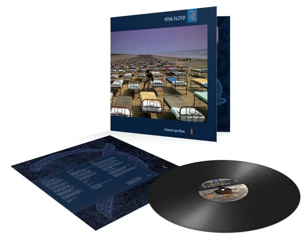 A Momentary Lapse Of Reason