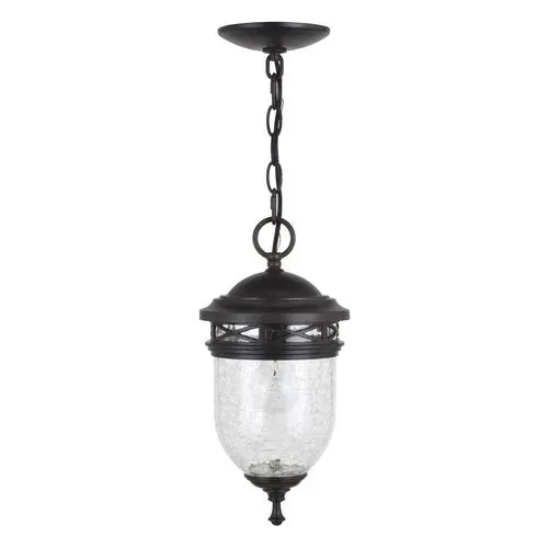 Patriot Lighting® Oaklynn Forged Sienna Outdoor Pendant Light