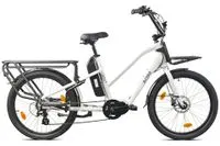 Cargo City E-Bike Cargado