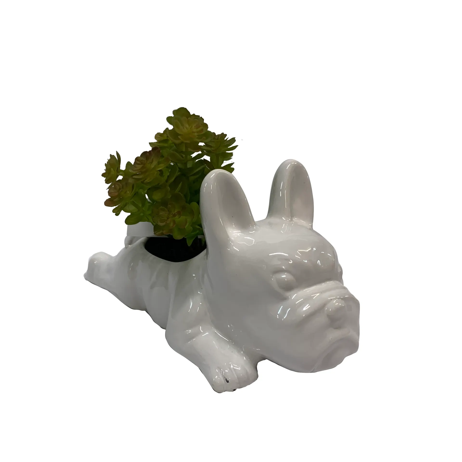 6-in Green Indoor Desktop Succulent Artificial Plant