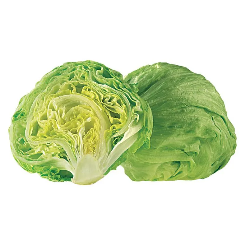 Iceberg Lettuce
