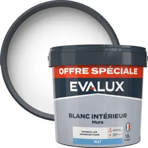 Peinture intérieure blanche mat murs 12 L