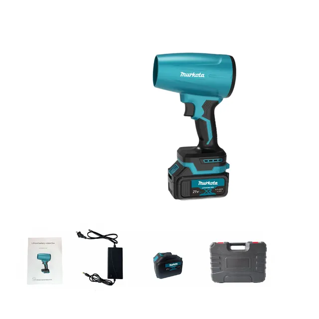 Aspirapolvere domestici, soffiatori elettrici, asciugacapelli ad alta potenza senza spazzole, batteria da 600 mAh *1 (standard europeo)