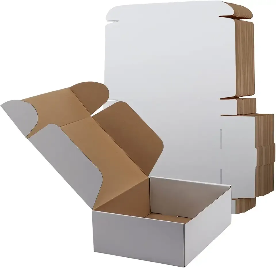 RLAVBL 12x9x4 Inches Shipping Boxes Set of 20, White Small Corrugated Cardboard Box, Mailer Boxes for Packing Small Business