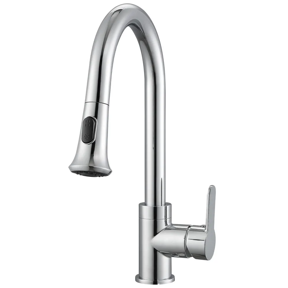 Ancona Rivella Single-Handle Pull-Down Kitchen Faucet with Dual Spray in Chrome