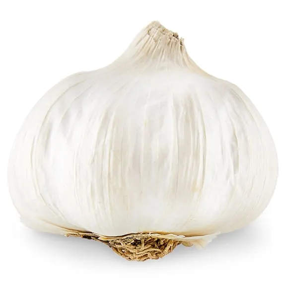 Garlic Bulb Fresh Whole, Each $0.64
