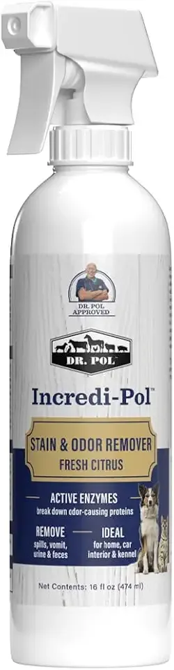 Dr. Pol Pet Stain & Odor Remover, Urine & Dirt Spray, Fresh Citrus, 16 oz