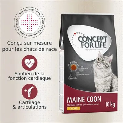 Concept for Life Maine Coon Adult