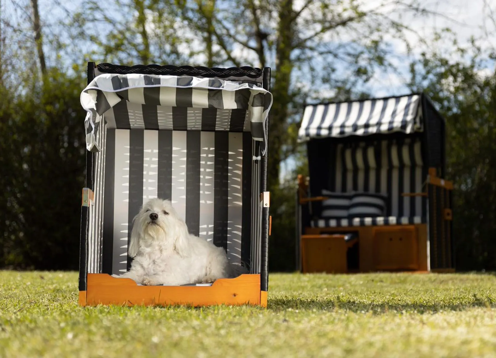 Hundestrandkorb Blau/Weiß