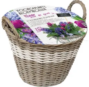 Florex voorgeplante mand 50 bloembollen wit