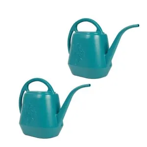 AULEDIO Annaffiatoio da giardinaggio intagliato da 4 litri, con beccuccio lungo in plastica (confezione da due)