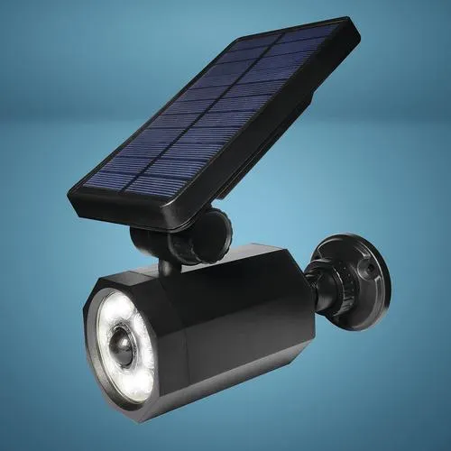 Patriot Lighting® Black LED Solar Powered Motion Sensor Outdoor Security Spot Light with Remote