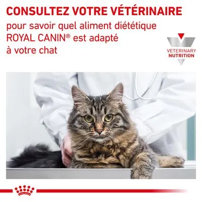 Royal Canin Veterinary Renal en sauce poulet pour chat
