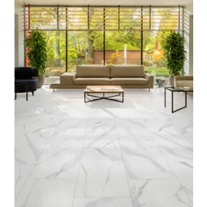 Carrelage sol intérieur grès cérame émaillé gris 30X61 cm STATUARIO