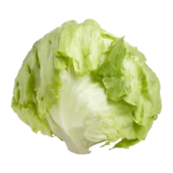 Lettuce Iceberg