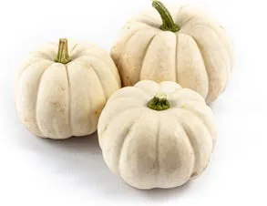 Pompoen (Cucurbita 'Casperita') D 12,5 cm