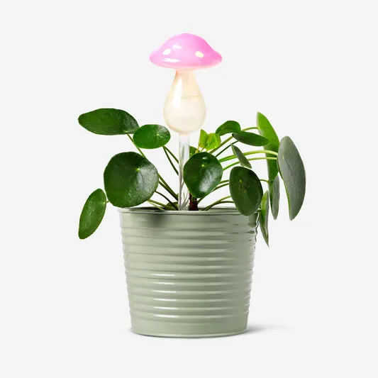 Mushroom self watering spike