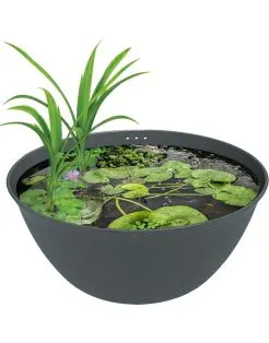 Superfish Medaka Bowl 600 - Binnenvijver - Ø60x25 cm