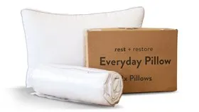 2 X Everyday Pillow
