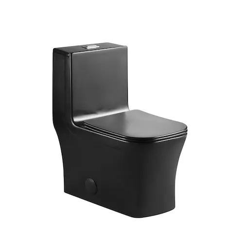 Ixia 1-piece 4/6L GPF Dual Flush Right Height Elongated Toilet in Black