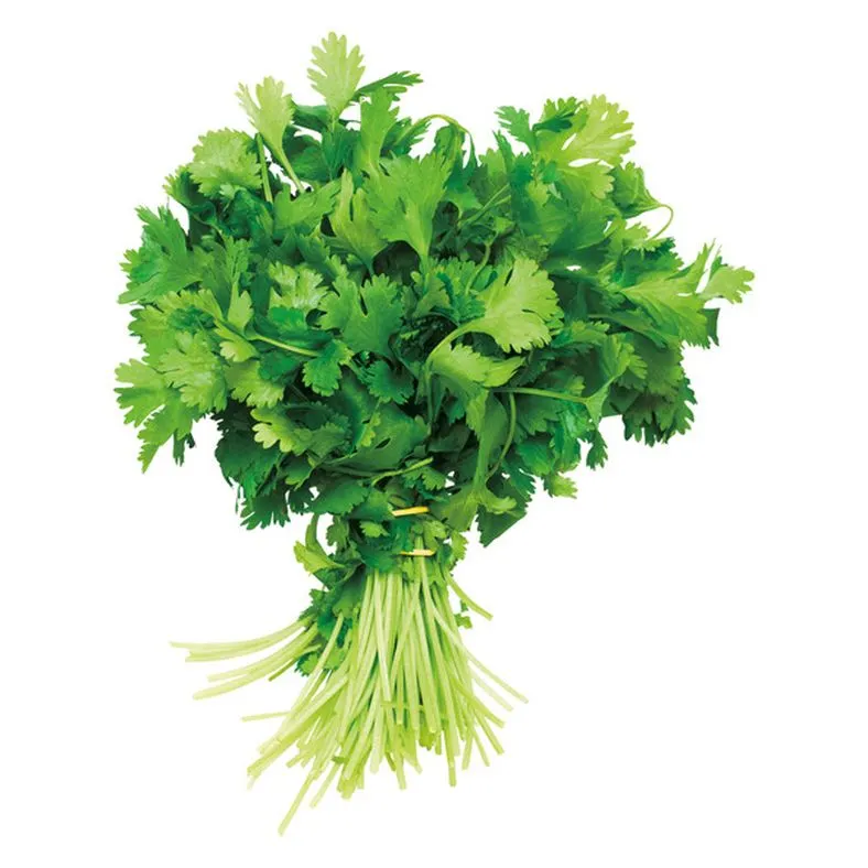 Cilantro, Package