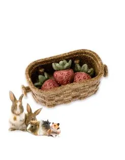 Ferplast Veggie Bites Berry - Knaagdiersnack - 13x6.8x4.2 cm