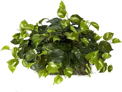 Nearly Natural 15in. Pothos Ledge Plant (Set on Foam) Si…