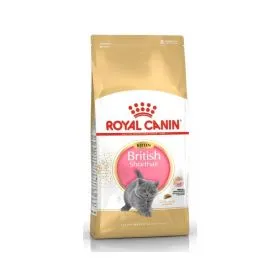Royal Canin Cat British Shorthair Kitten 2 kg