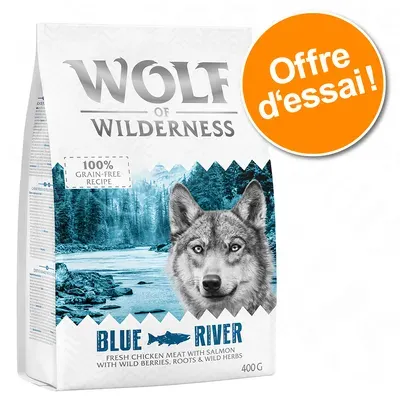 Testez-les ! Wolf of Wilderness pour chien