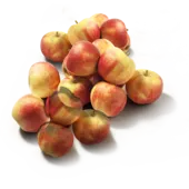 Elstar Appels
