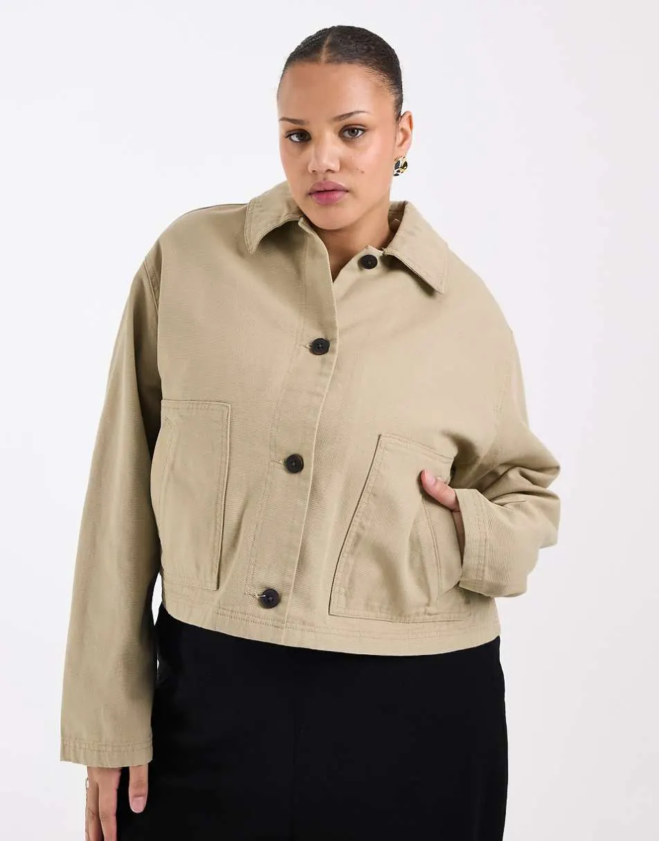 ASOS DESIGN Curve short cotton harrington jacket in mushroom