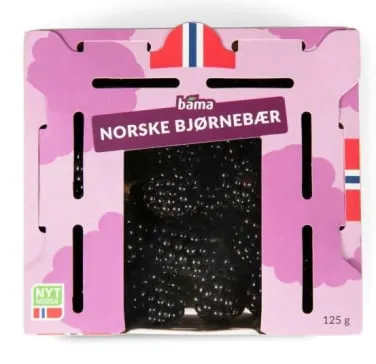Bjørnebær