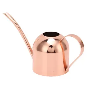 Annaffiatoio per casa Bonsai Giardino Fiori Piante da esterno Interno Beccuccio lungo Vaso Acciaio inossidabil