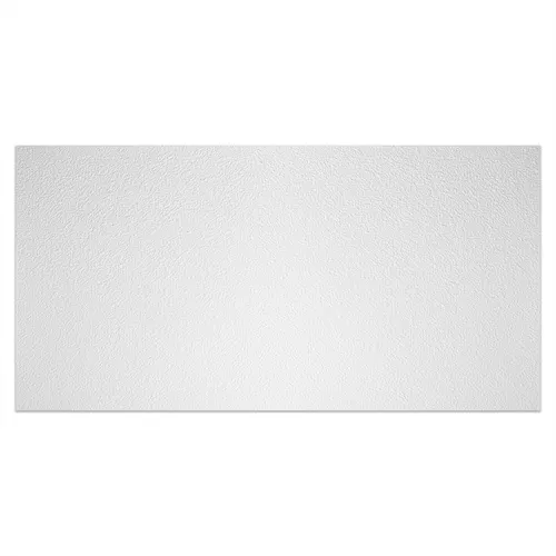 2 ft. x 4 ft. Stucco Pro White Ceiling Panel Carton of 10