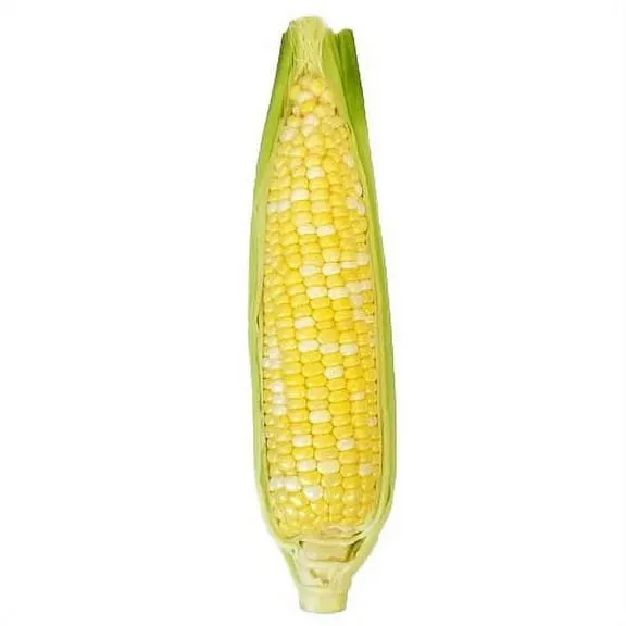 Rollback Fresh Sweet Corn on the Cob, Each $0.33 Was $1.25