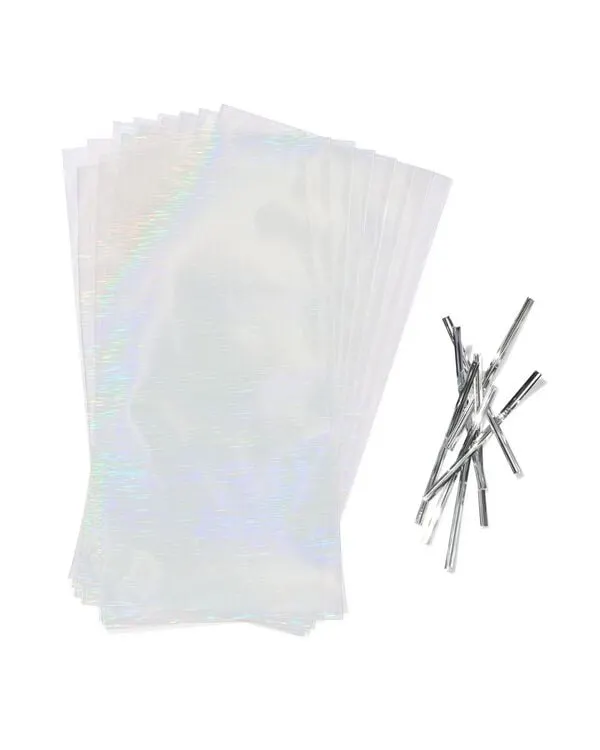 uitdeelzakjes 22.5x22.5x11cm papier iridescent - 8 stuks