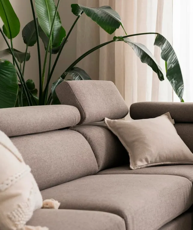 Canvas White On White