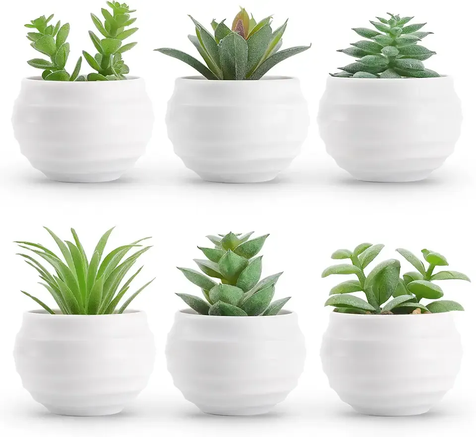 Der Rose Set of 6 Succulents Plants Artificial in Pots Small Fake Plants for Bedroom Aesthetic Living Room Shelf Bathroom Decor Office Desk Accessories