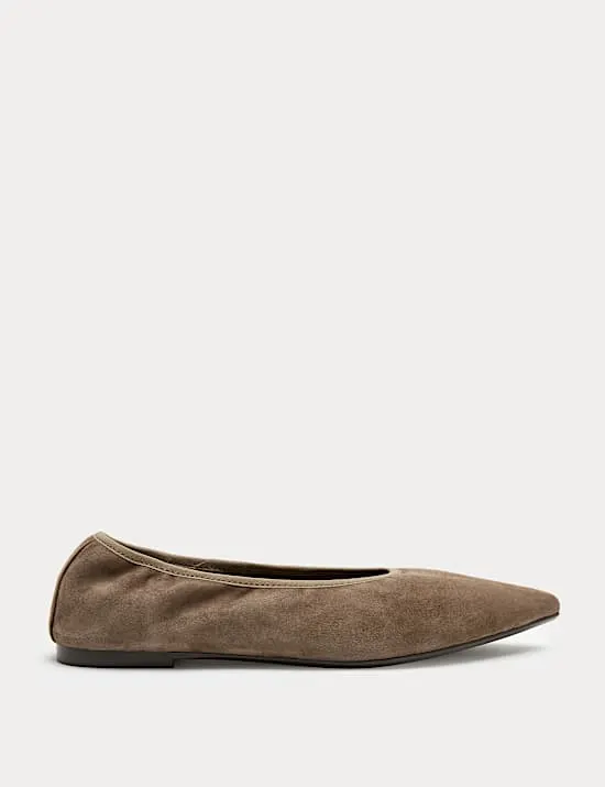 Suede Flat Pointed Toe Ballet Pumps