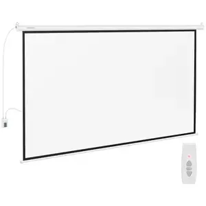 Projection Screen - 302 x 201 cm - 16:9