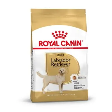 Royal Canin Labrador Dry Dog Food